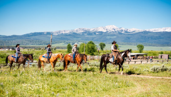 Where to stay in USA, Dude Ranch Montana