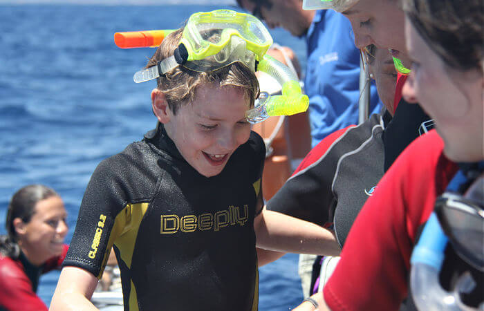 Azores family holidays, swimming with dolphins