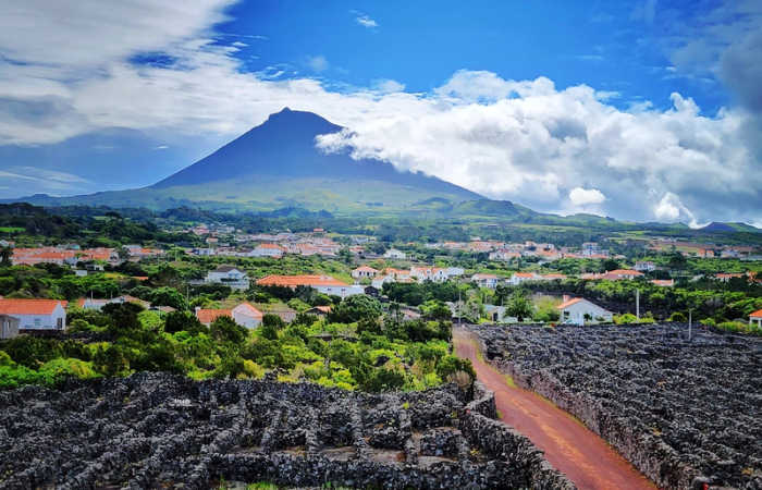 Vineyards and volcano on Pico island, Stubborn Mule's Azores family holidays itinerary