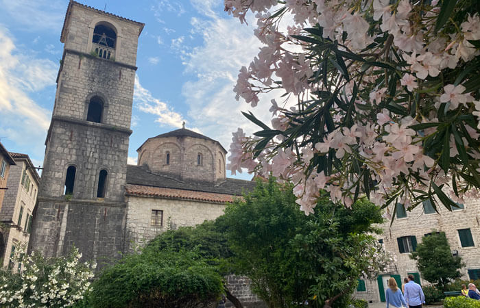 Montenegro capital Kotor, with blossom