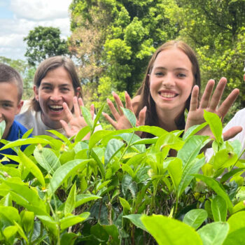 School Holidays Calendar, family in Sri Lanka tea picking