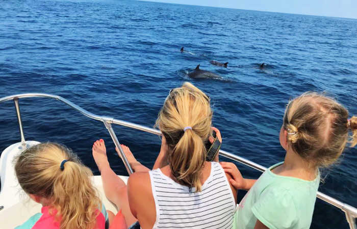 Dolphin watching in Costa Rica with kids