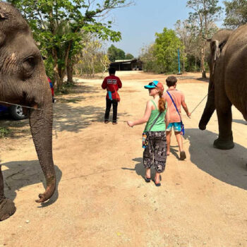 Customer photos of Thailand - family looking after elephants at a sanctuary