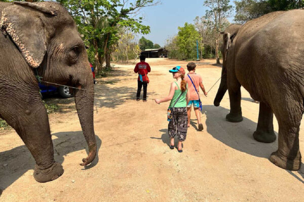 Customer photos of Thailand - family looking after elephants at a sanctuary