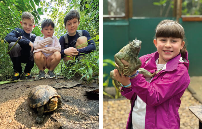 Kids with Belize wildlife - iguana and tortoise