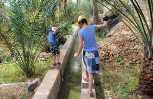 Children exploring Misaf Oasis on family holiday
