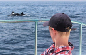 Boy on dolphin watching trip in Oman, near Muscat