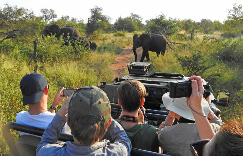 Family safari in South Africa - February half term option