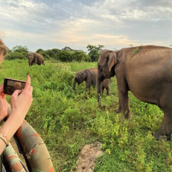 Teenager on safari taking photos of wild Asian elephants, on Sri Lanka with Kids itinerary
