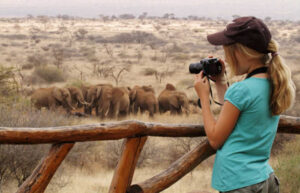 Teenager taking photo of elephant herd in Kenya