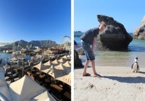 Cape Town with Tabe Mountain in the distance and Boulders Beach with penguin