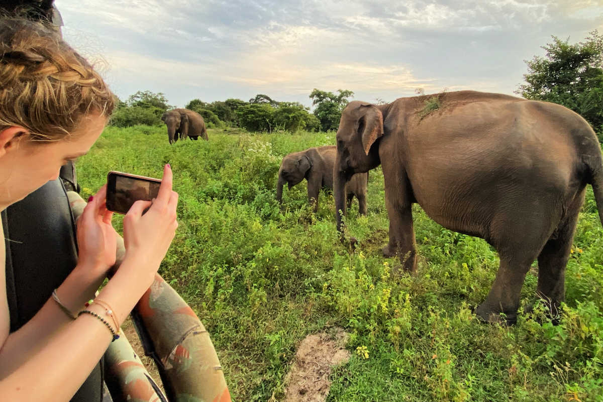 Sri Lanka safari with kids - taking photo of elephants