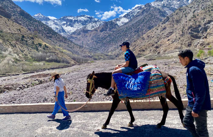 Family walking in the High Atlas mountains with one child riding on a donkey