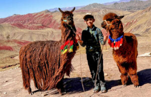 Peru. Boy with a llama and an alpaca at the Rainbow Mountain, Peru.