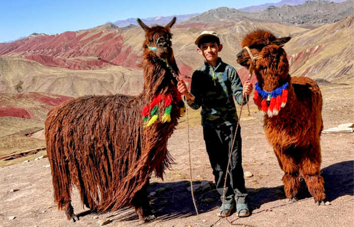 Peru. Boy with a llama and an alpaca at the Rainbow Mountain, Peru.