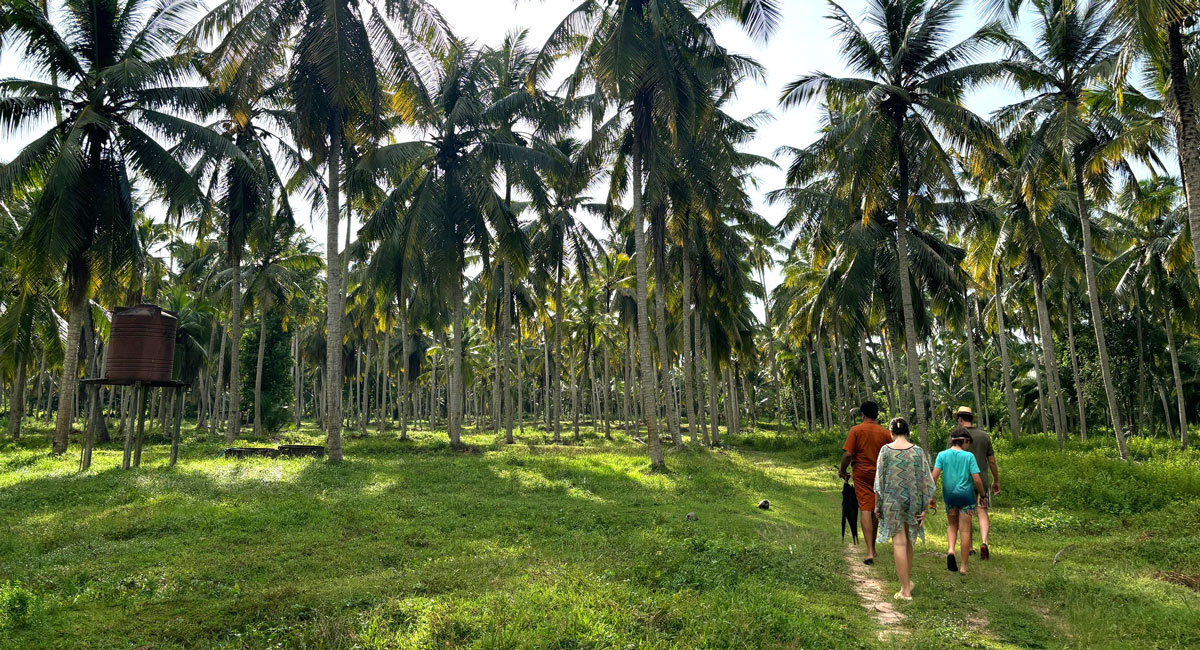 Family walking in a plantation, customer photos of Sri Lanka