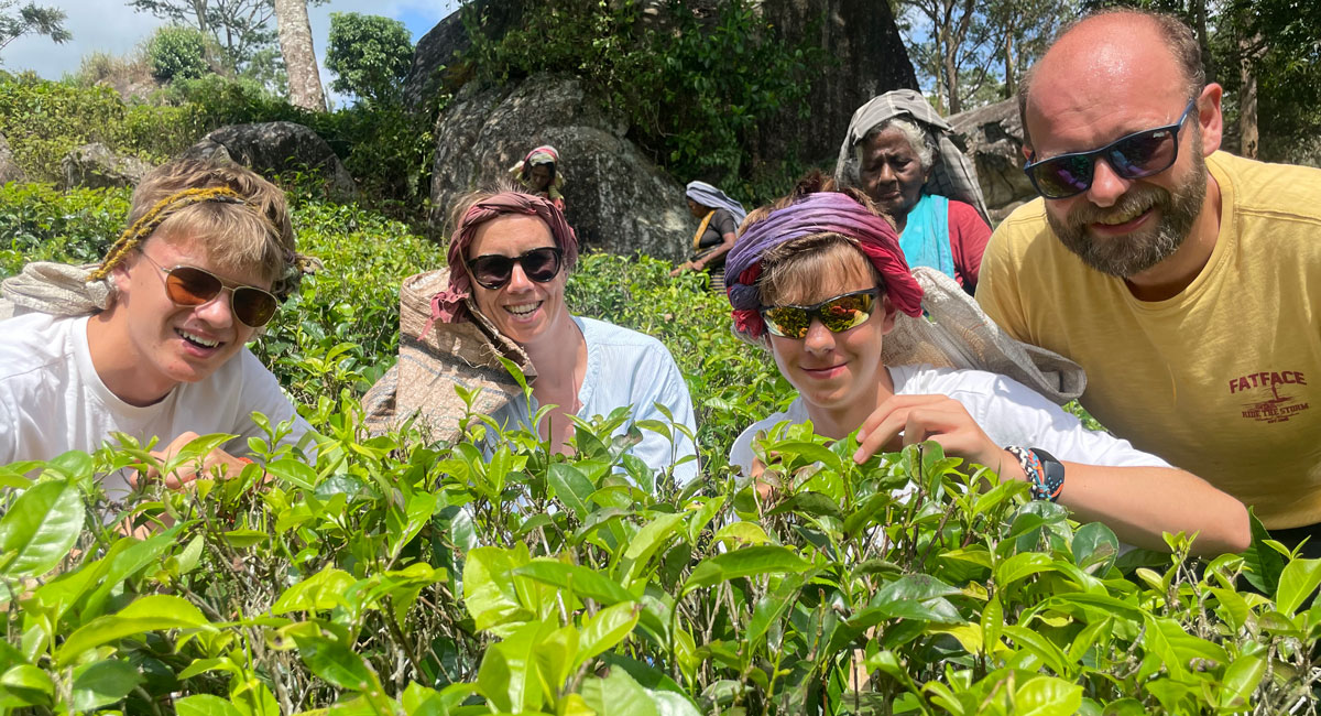 Family tea picking in Sri Lanka