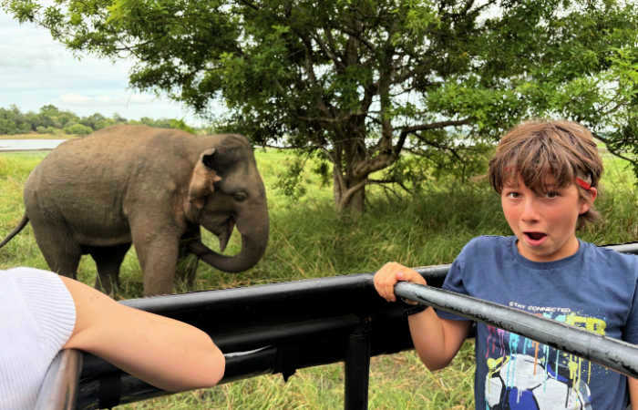 Boy enjoying a safari in Sri Lanka, a top Asia destination for families