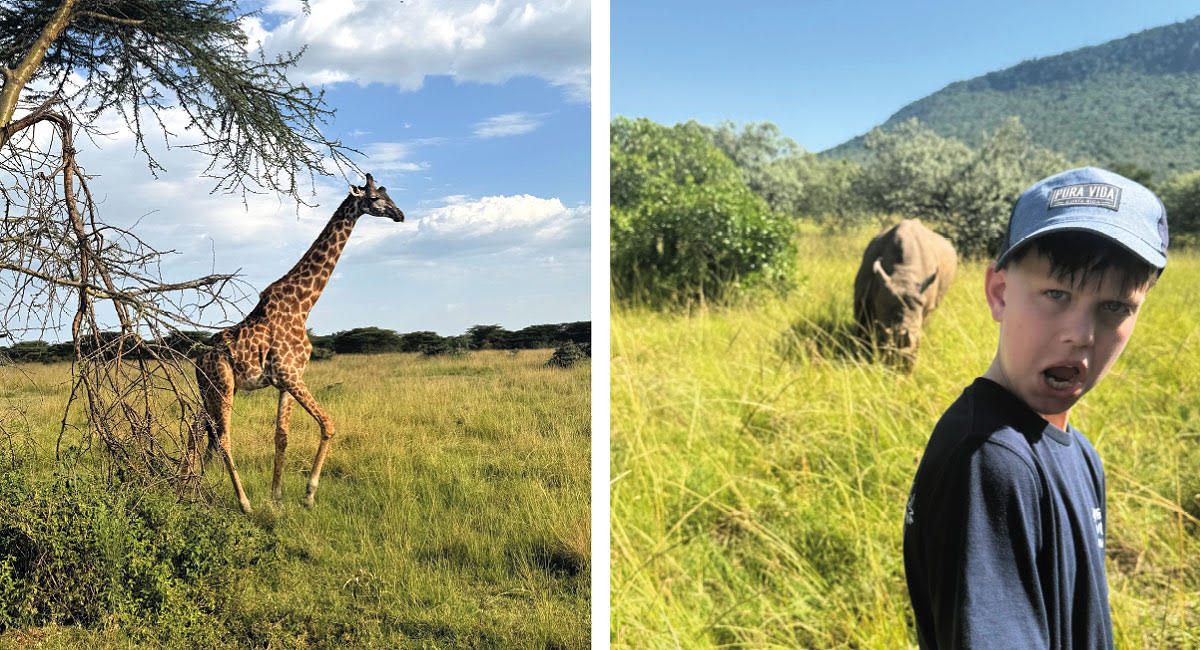 Giraffe and rhino spotted on 50th birthday holiday safari