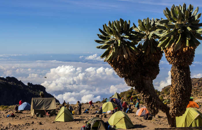 Barranco Camp on Kilimanjaro climb