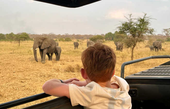 Child watching herd of elephants amble by in the Serengeti, Tanzania itinerary