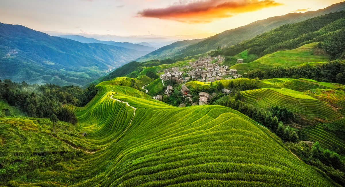Terraced field in Longsheng, China