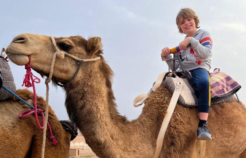 Camel riding, Agafay Desert