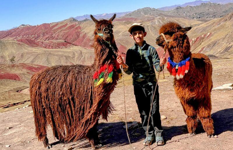 Peru. Boy with a llama and an alpaca at the Rainbow Mountain, Peru.