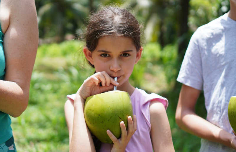 Close up of a girl in pink top drinking coconut milk from a straw, from an actual coconut, in Sri Lanka