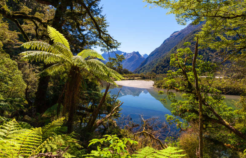 Milford Track, Fiordland National Park, New Zealand 1134427845