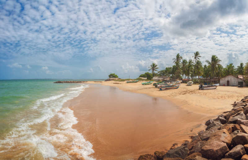 Gorgeous sandy Sri Lanka beach, with palm trees