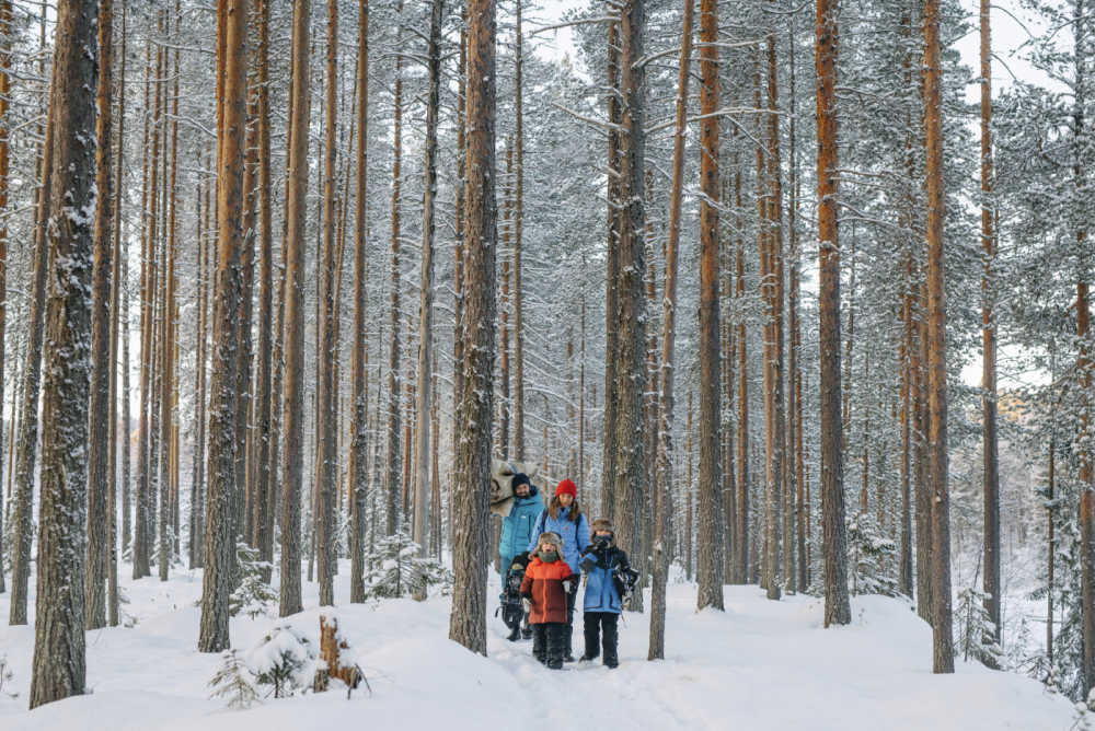 Family in snow covered pine forest in Swedish Lapland
