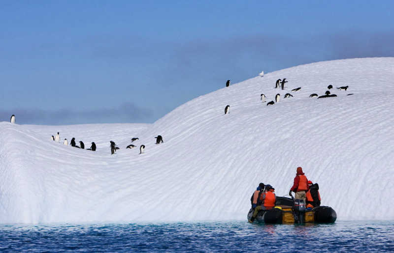 RIB vessel taking visitors close to penguins and icebergs in Antarctica, example of multigenerational holidays with Stubborn Mule