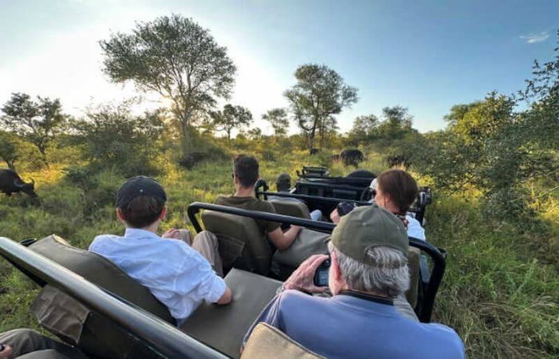 On safari in South Africa with grandparents