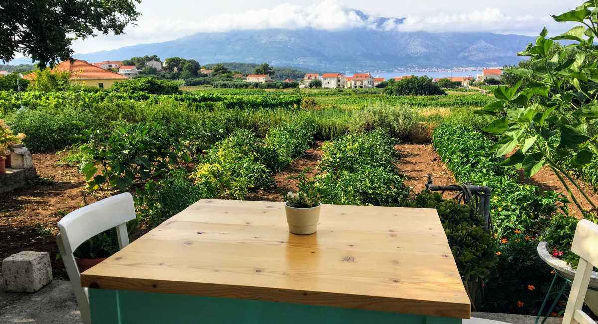 Visit a vineyard on a Croatia trip, near Lumbarda, Korcula Island