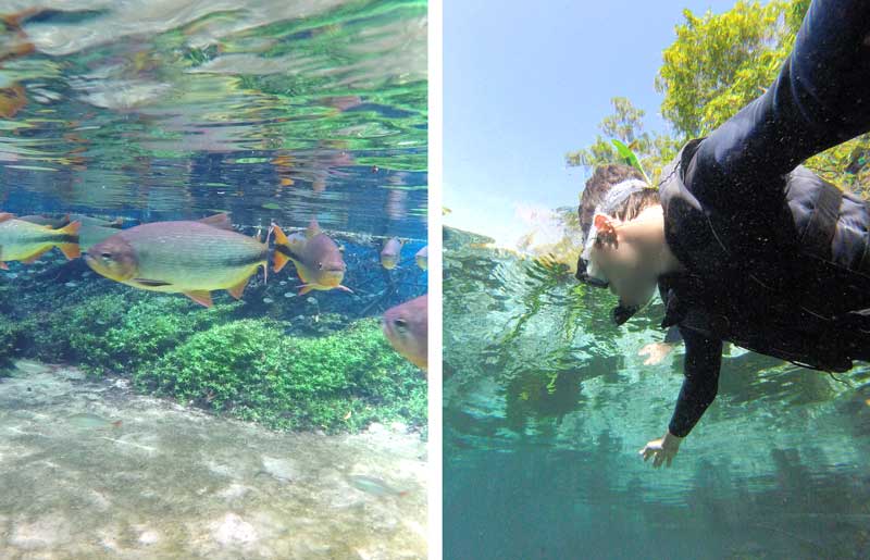 Rio da Prata Flotation, Bonito - family-friendly activities in Brazil for families