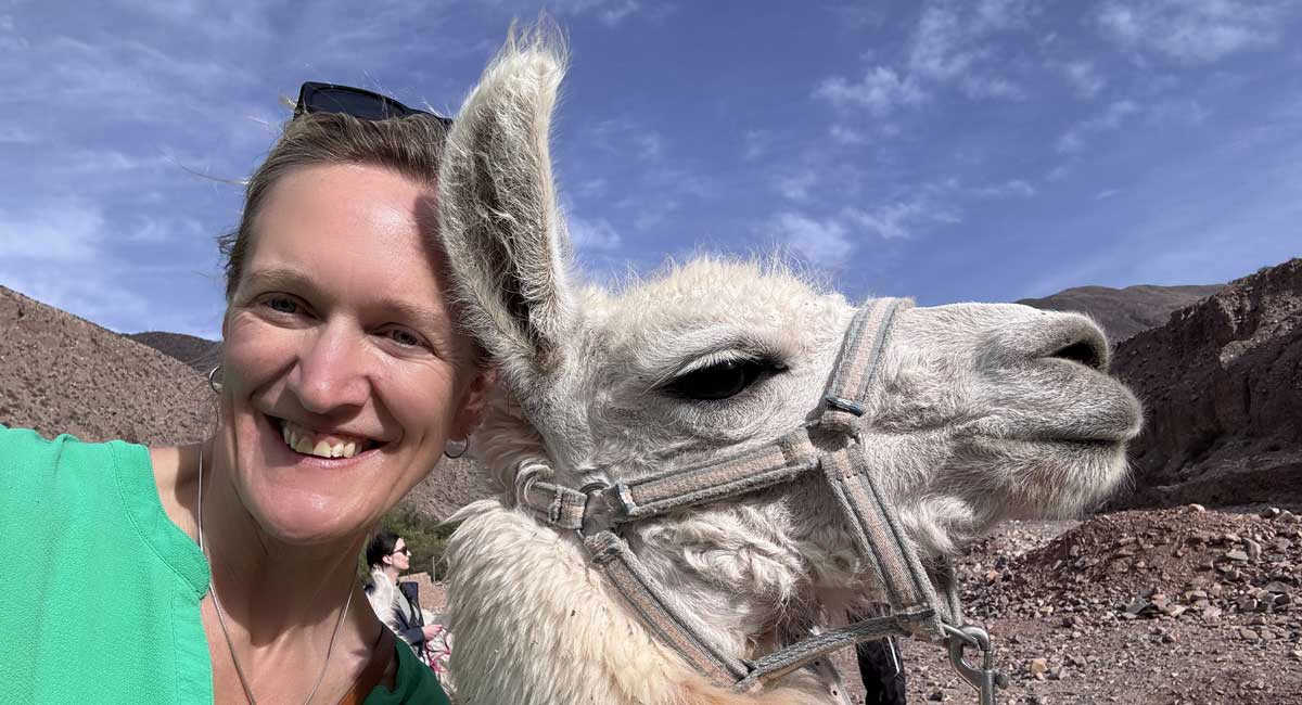 Family-friendly activities in north-west Argentina, walking with lamas at Tilcara