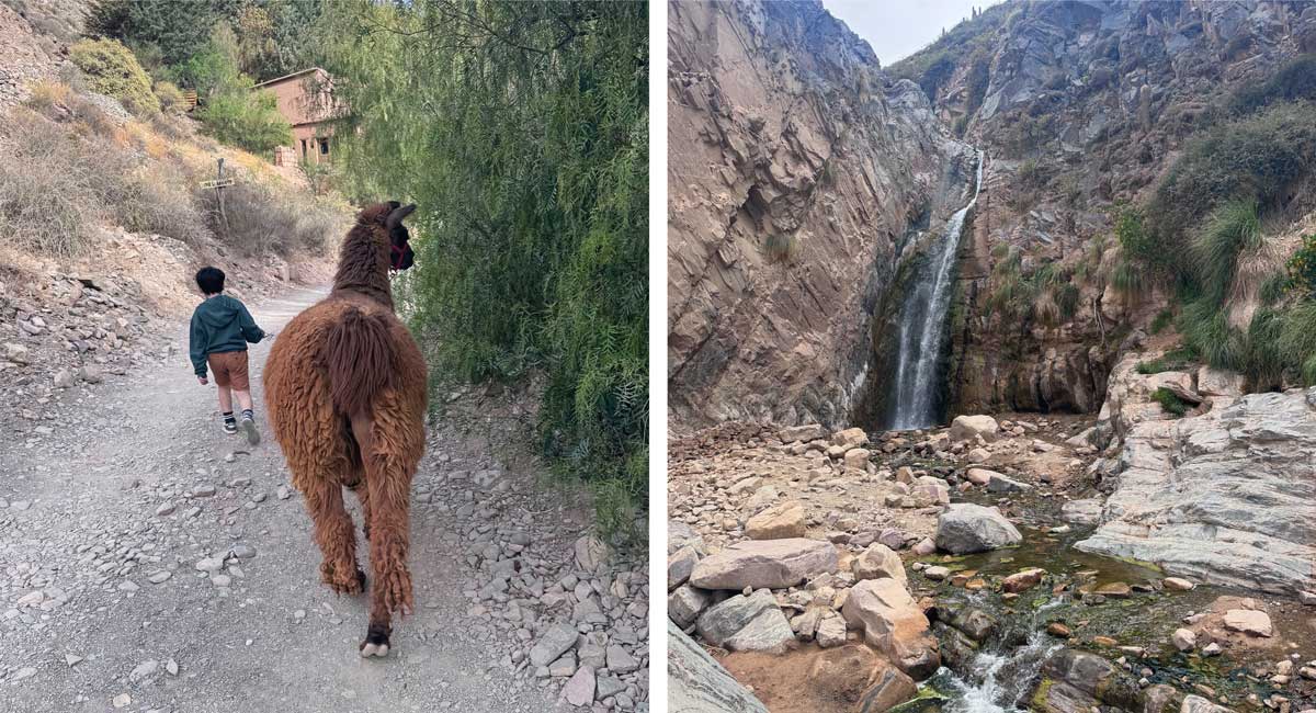 Family-friendly activities in Tilara - child walking with a lama and an easy walk to see a waterfall