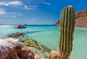 Baja California Mexico itinerary, with turquoise sea and cactus