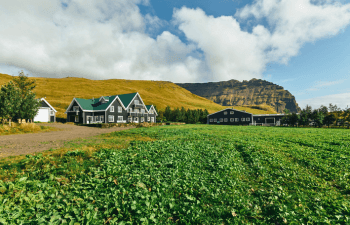 Skalalot Manor Hotel - best family-friendly hotels in Iceland