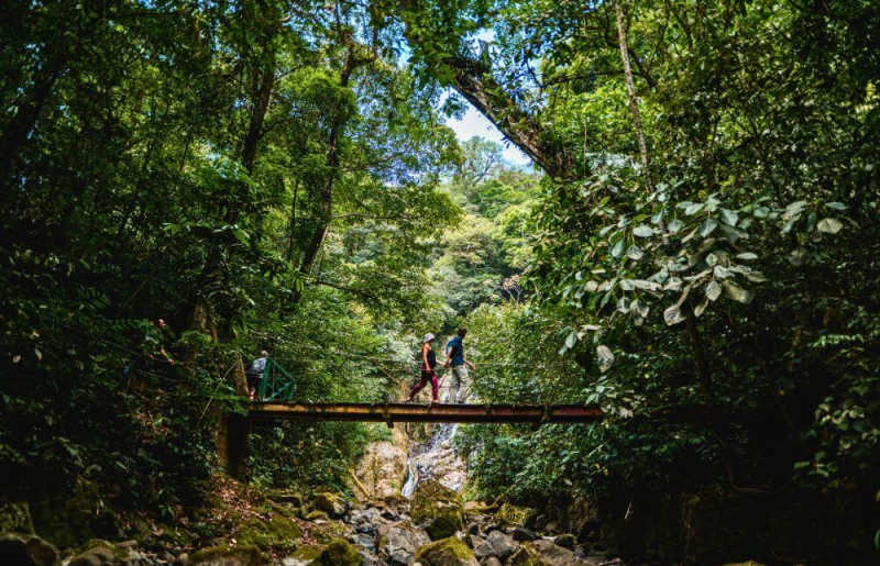 Boquete Cloud Forest hike in Panama, Places to visit in Panama for family holidays
