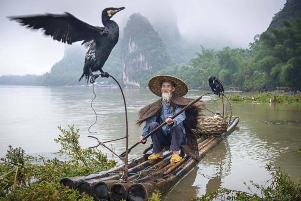 Cormorant fisherman on the Li River in Guangxi