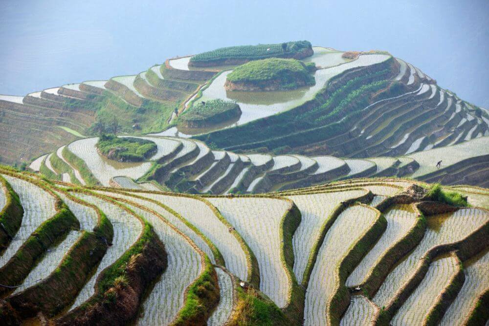 The rice terraces in Guangxi Provence