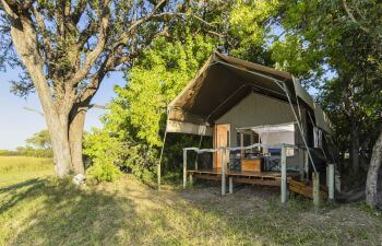 Sango Safari Camp - family-friendly hotels in Botswana