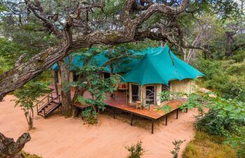 Tum Tum Treehouse Lodge - Family-friendly hotels in Zimbabwe