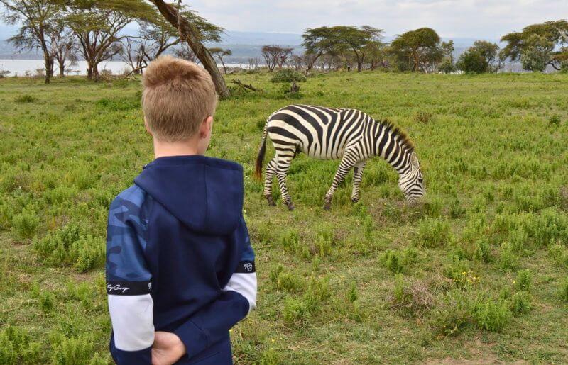 Young boy gets close to plains game on a walking safari in Kenya