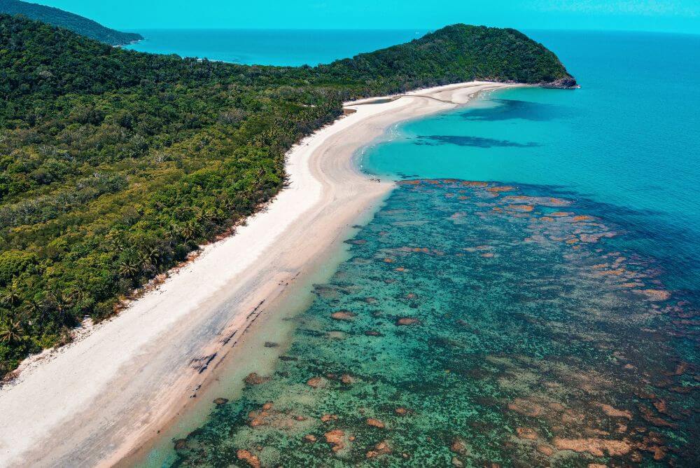 Daintree Forest meets the coast